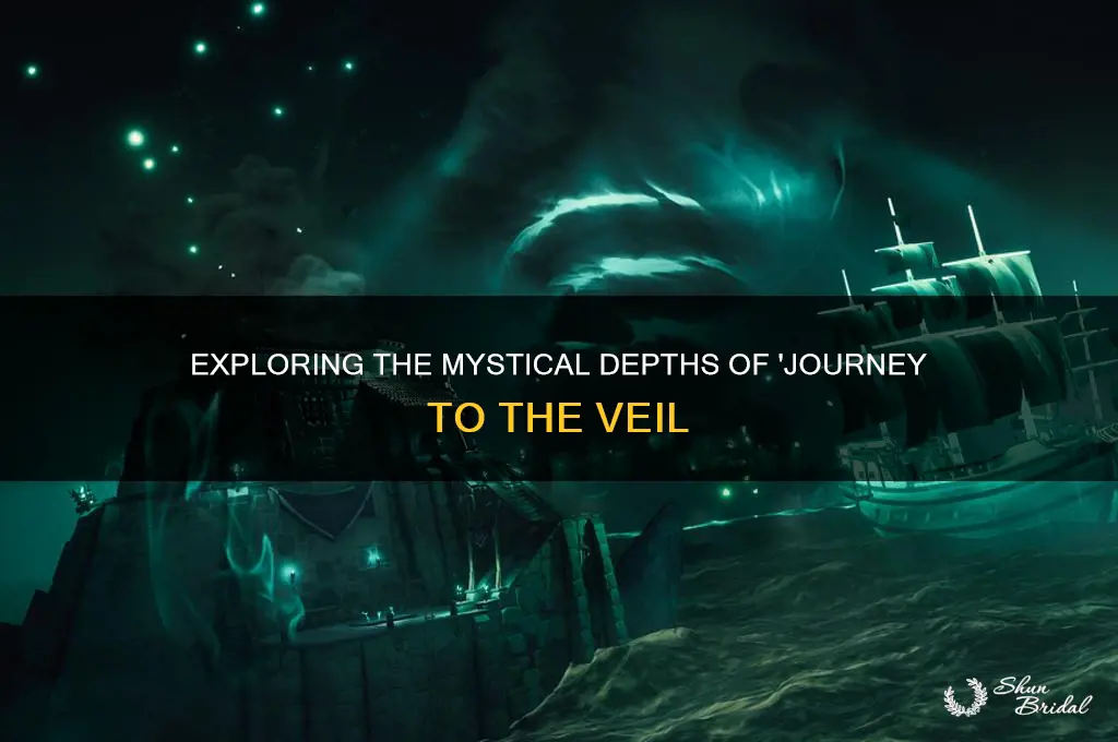what is journey to the veil about