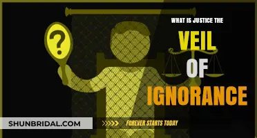 Justice Unveiled: Exploring the Veil of Ignorance and Fairness