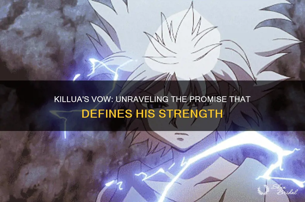 what is killua