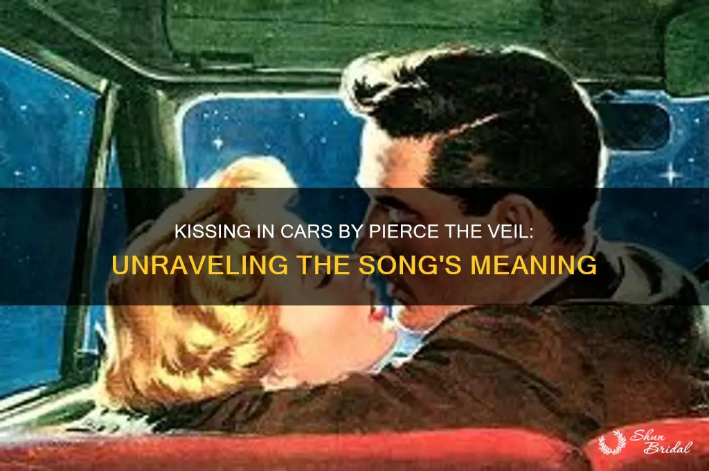 what is kissing in cars by pierce the veil about