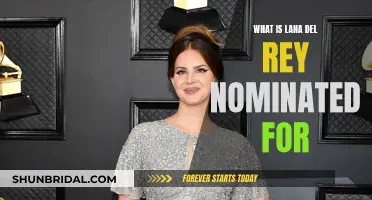 Lana Del Rey's Awards and Nominations: A Comprehensive Guide