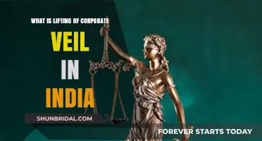 Understanding the Lifting of Corporate Veil in Indian Law