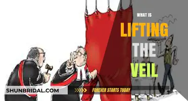 Unveiling Corporate Transparency: Understanding the Concept of Lifting the Veil