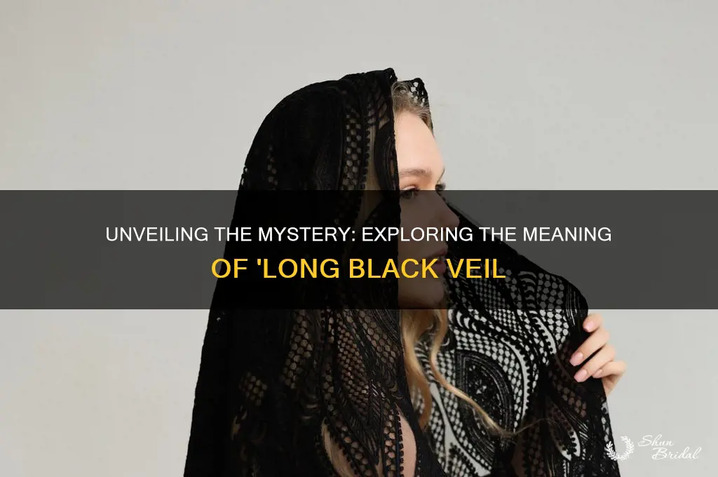 what is long black veil about
