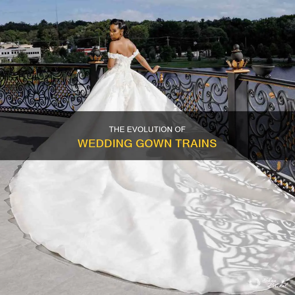 what is long part of wedding gown called