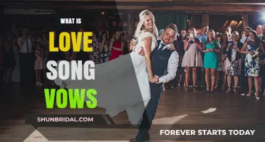 Love Song Vows: Crafting Heartfelt Lyrics for Your Wedding Day