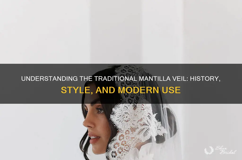 what is mantilla veil