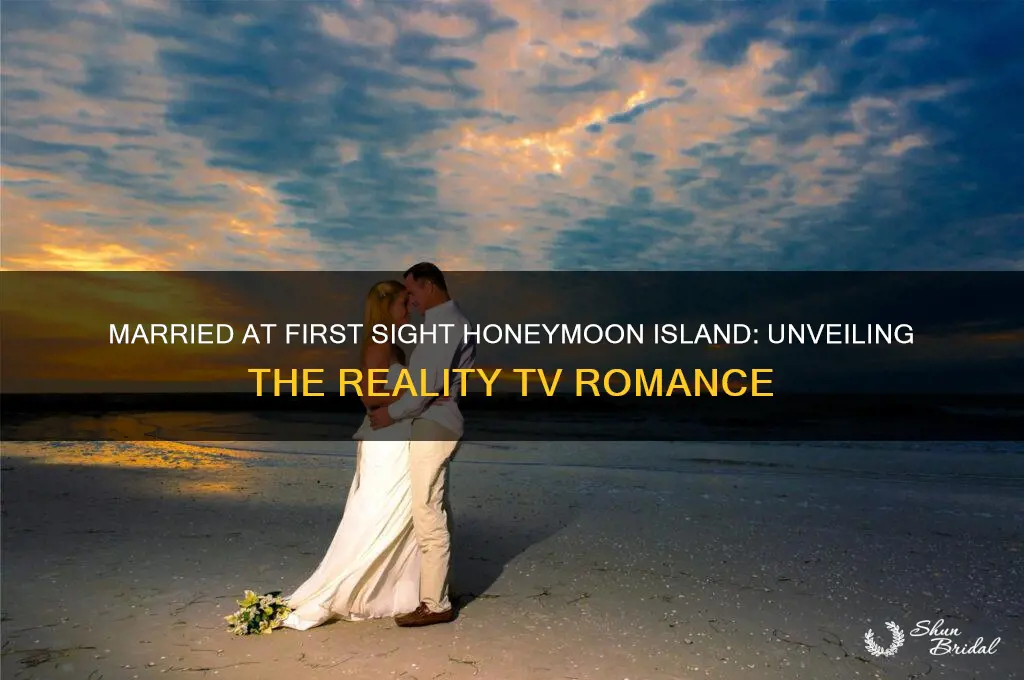 what is married at first sight honeymoon island