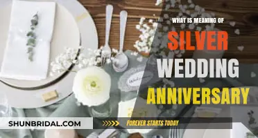 Celebrating 25 Years of Love: Understanding the Silver Wedding Anniversary