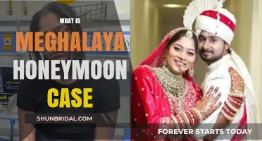 Meghalaya Honeymoon Case: Unraveling the Mystery and Legal Battle