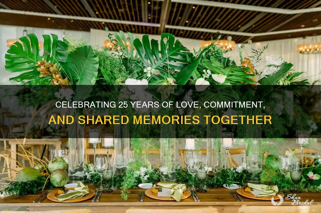 what is my 25th wedding anniversary about