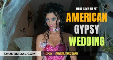 My Big Fat American Gypsy Wedding": A Glimpse into a Secretive Worl