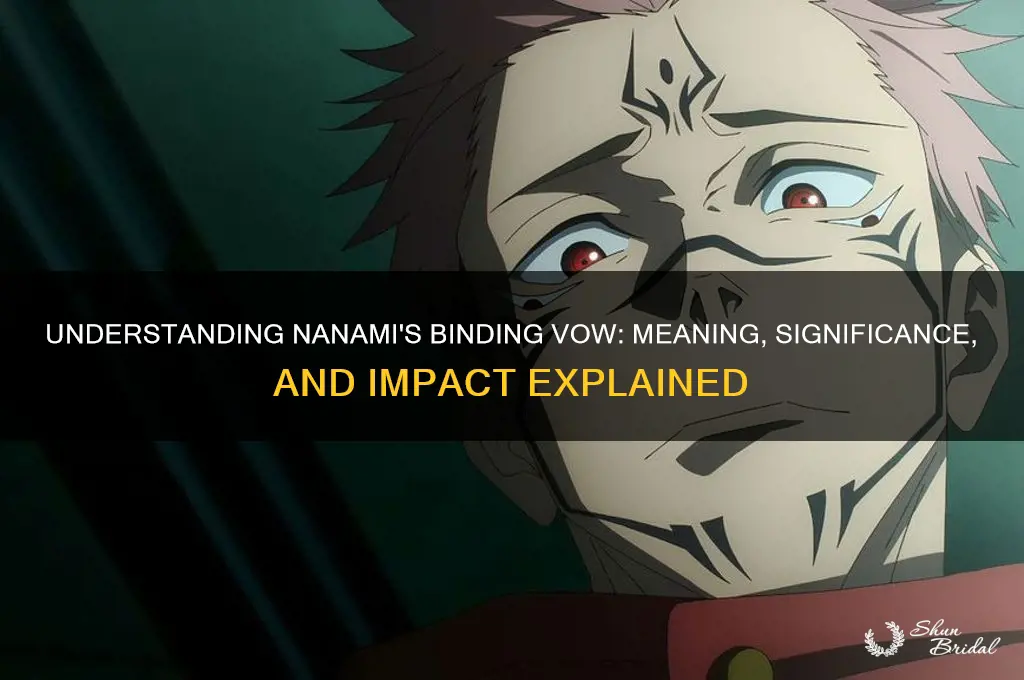 what is nanami