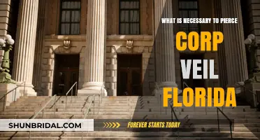 Piercing the Corporate Veil in Florida: Essential Requirements Explained