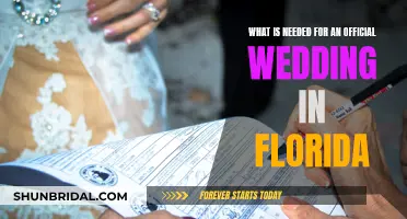 Official Weddings in Florida: Requirements and Essentials