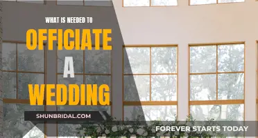 A Wedding Officiant's Essential Guide to the Big Day