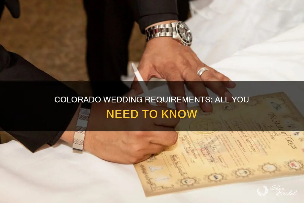 what is needed to perform wedding in colorado