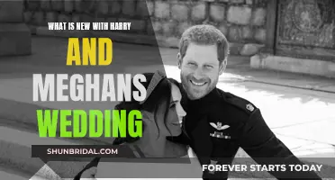 Harry and Meghan's Wedding: New Details Emerge