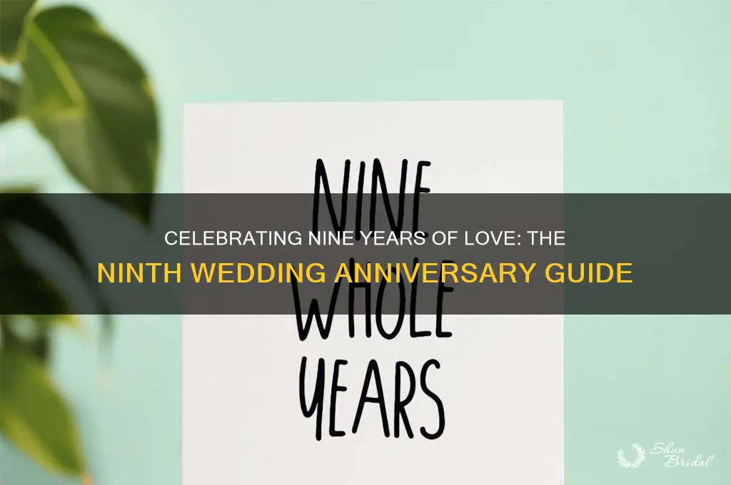 what is ninth wedding anniversary