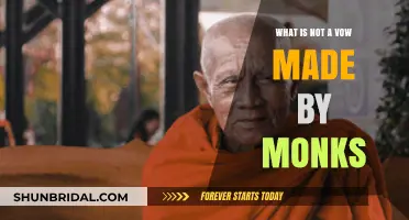Unveiling the Misconceptions: What Monks Don't Vow in Monastic Life