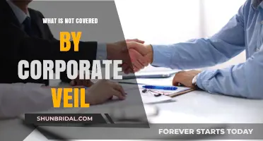 Corporate Veil Limits: What Remains Exposed in Business Liability?