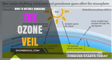 Unveiling the Ozone's Silent Killers: Causes and Consequences