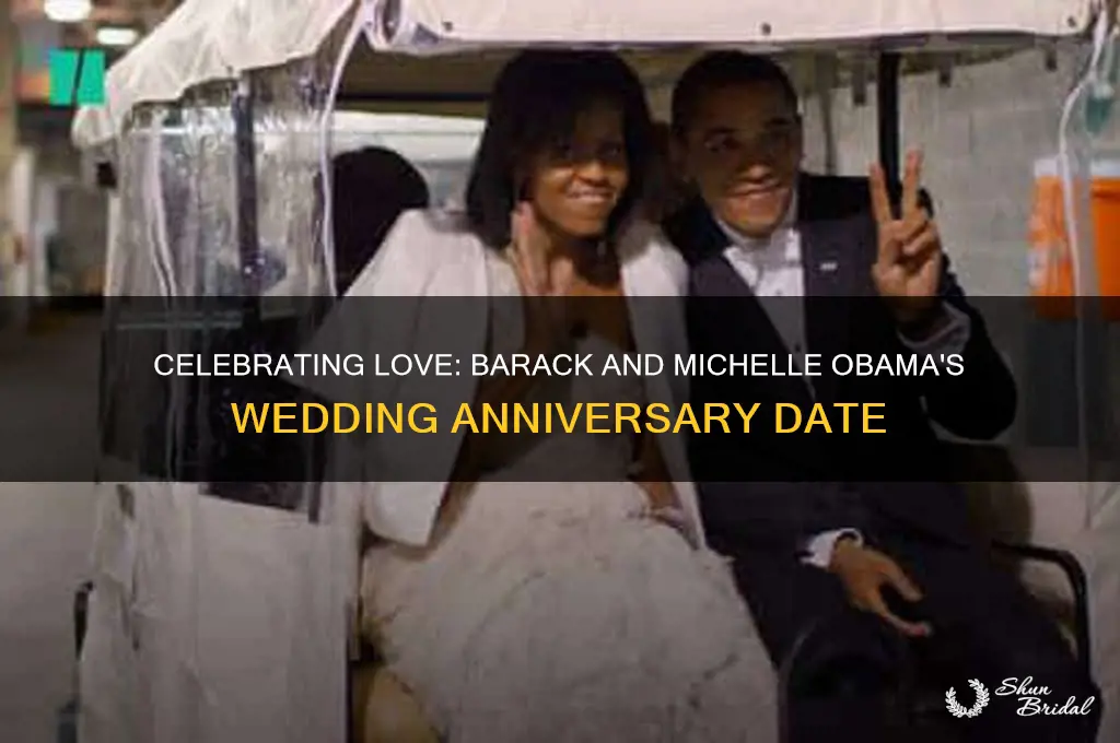 what is obama