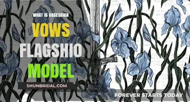 Understanding Obsession Vows Flagship Model: A Comprehensive Guide to Its Features