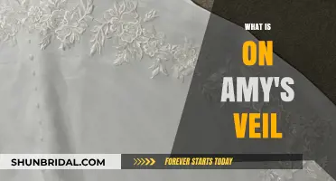 Unveiling the Mystery: What's Embroidered on Amy's Veil?