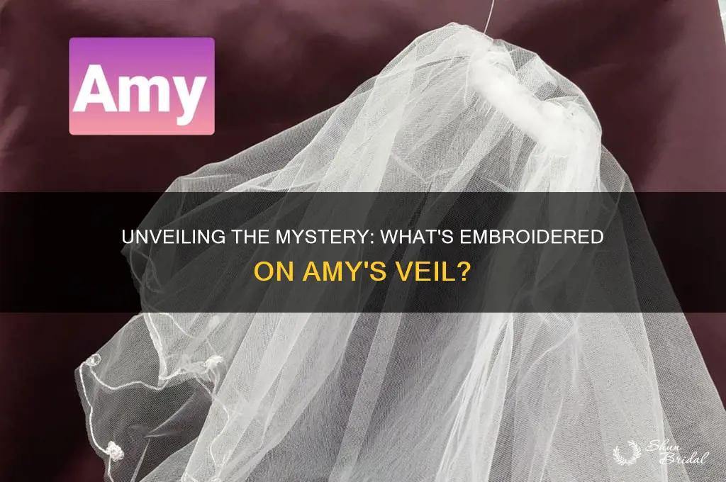 what is on amy