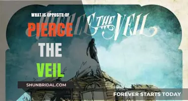 Unveiling the Opposite: Exploring the Antithesis of Pierce the Veil