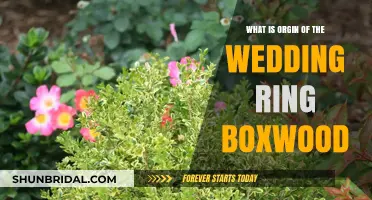 Tradition Unveiled: Wedding Ring Boxwood Origins