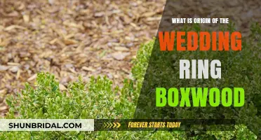 The Ancient Tradition of Wedding Ring Boxwoods