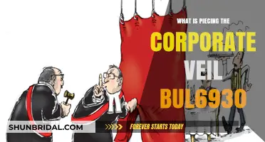 Understanding Piercing the Corporate Veil: Legal Implications and Protections