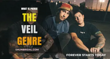 Exploring Pierce the Veil's Genre: Post-Hardcore, Emo, or Rock Fusion?