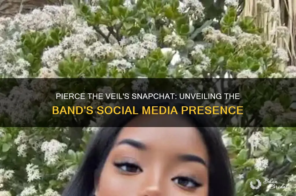 what is pierce the veil snapchat