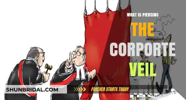 Understanding Piercing the Corporate Veil: Legal Risks and Protections Explained