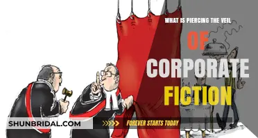 Piercing the Veil of Corporate Fiction: Understanding Legal Implications