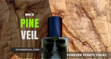 Unveiling Pine Veil: Exploring the Mystery and Meaning Behind the Name