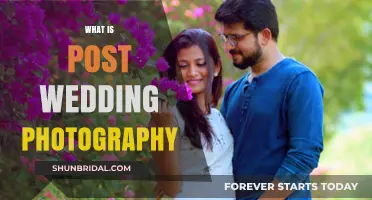Post-Wedding Photos: Capturing the Romance After the Big Day