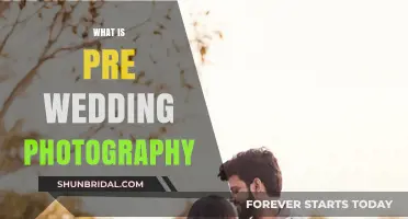 Pre-Wedding Photography: Capturing Love Before the Big Day