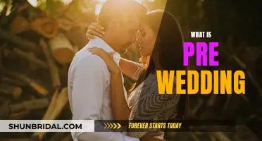 Pre-Wedding Photos: Capturing the Romance Before the Big Day