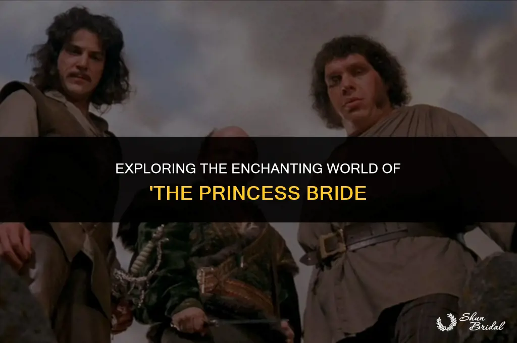 what is princess bride on