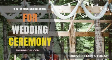 Understanding Processional Music: Enhancing Your Wedding Ceremony's Emotional Journey