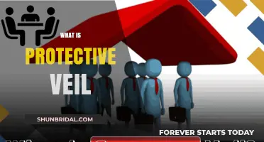 Understanding the Protective Veil: Legal Safeguards for Business Owners