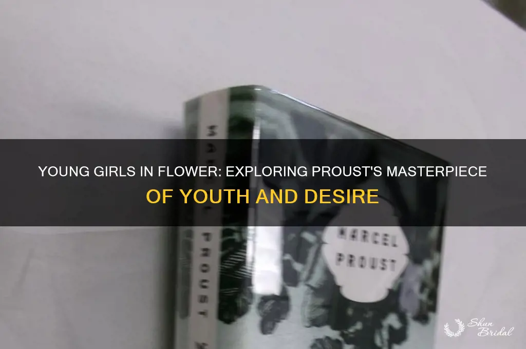 what is prousts book young girls in flower about