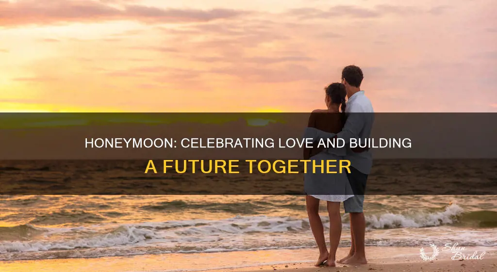 what is purpose of honeymoon