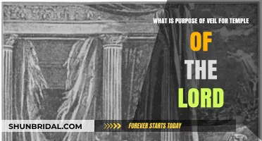 The Sacred Veil's Purpose in the Temple of the Lord