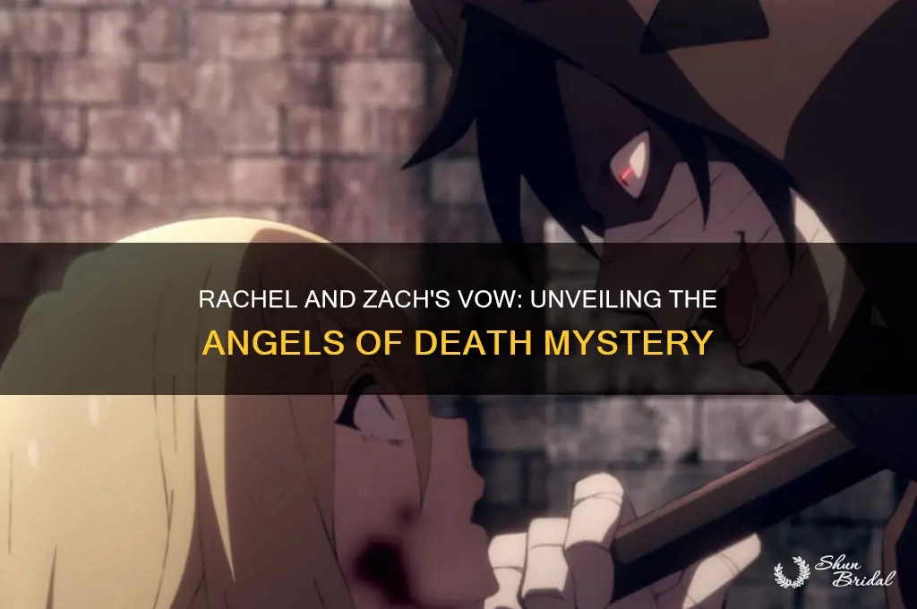 what is rachel and zach