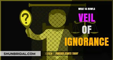 Understanding Rawls' Veil of Ignorance: A Fairness Theory Explained